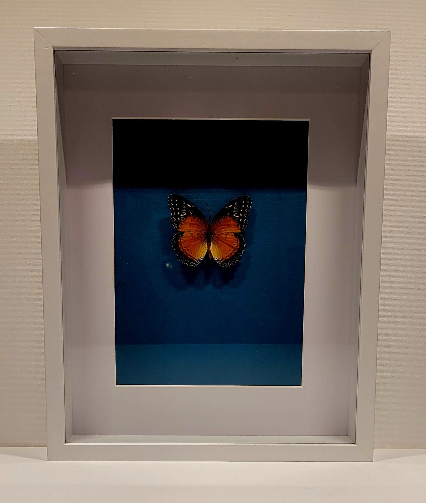 "Blaze" 8x10" Framed Butterfly
