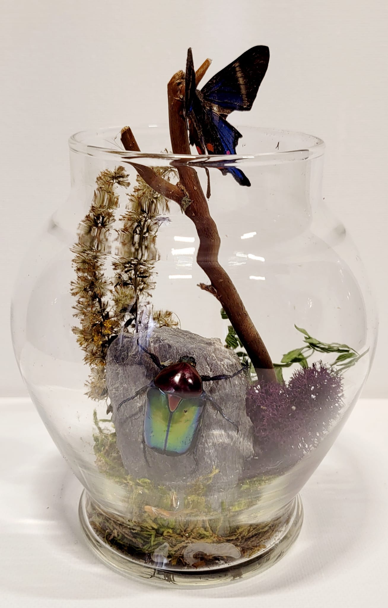 "Twilight Garden" Cloche/Dome Display by Chris Lee