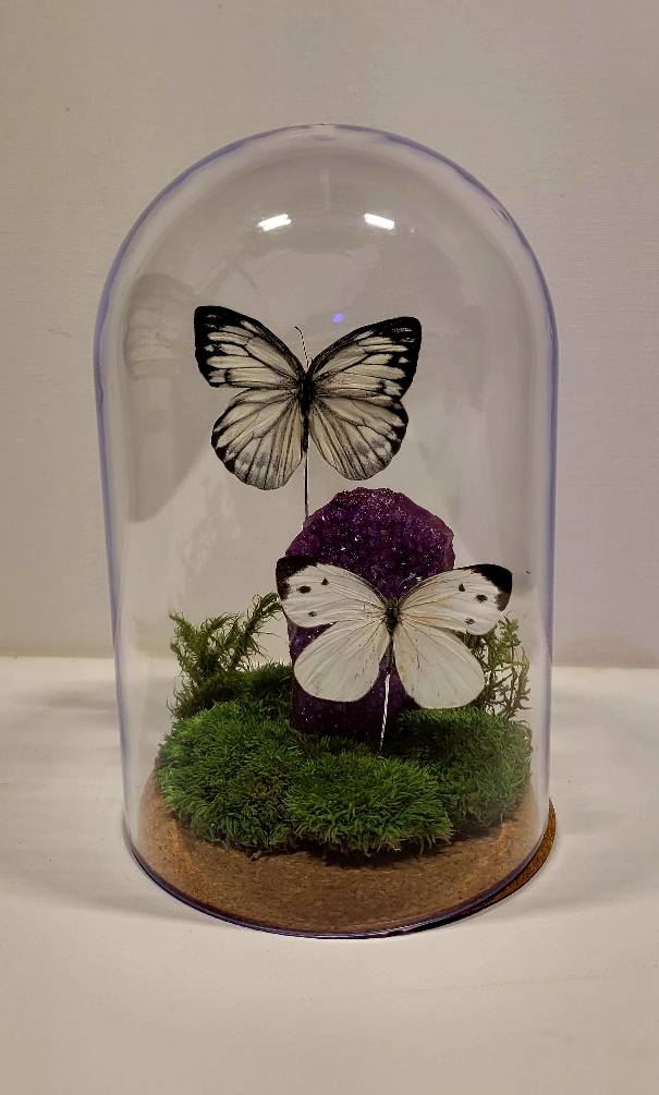 "Amethyst Drift" Cloche/Dome by Chris Lee