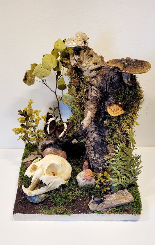 "Silent Dominion" – Nature’s Quiet Power Display by Chris Lee